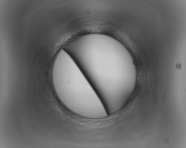 X0000091080023200708201445