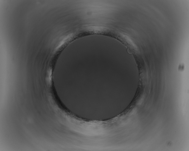 X0000091080024200708201445