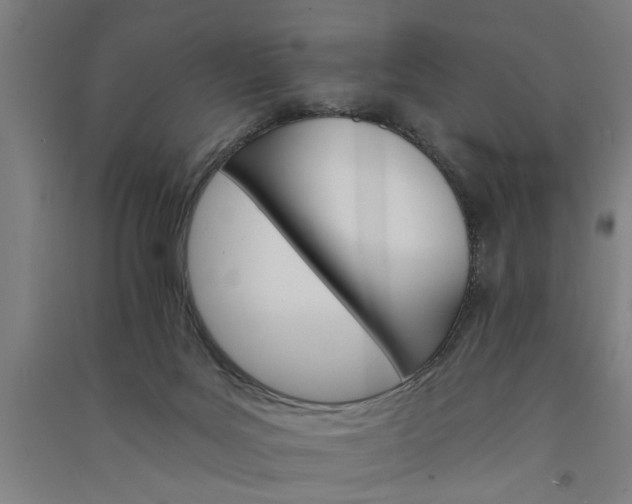 X0000091080027200708201445