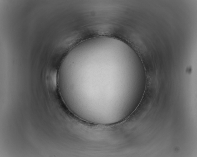 X0000091080028200708201445