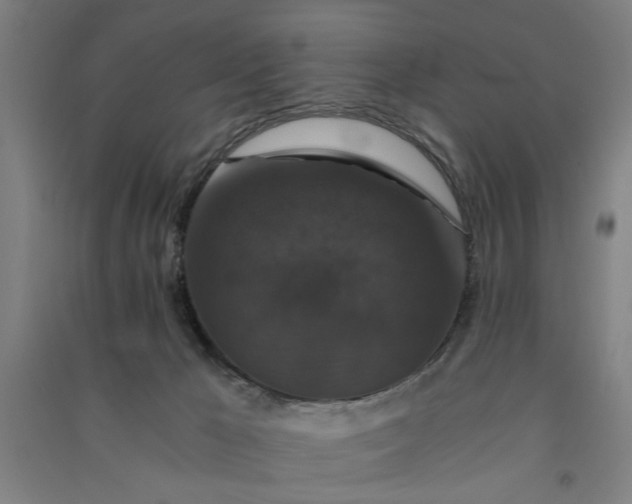 X0000091080029200708201444