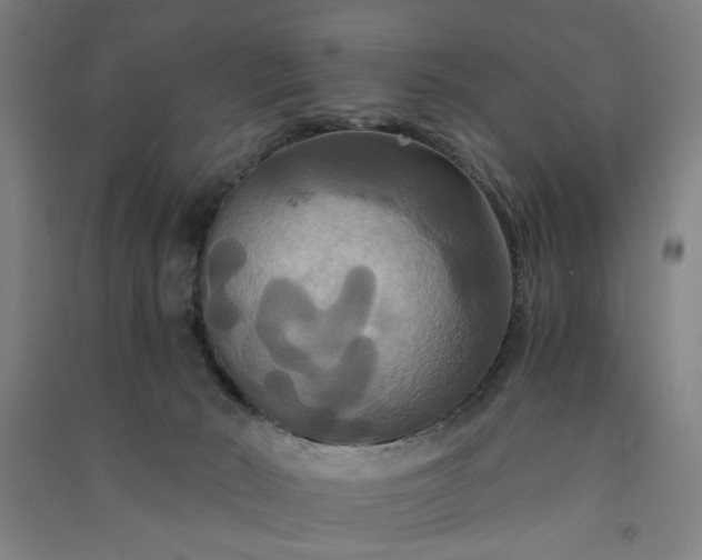 X0000091080030200708201444