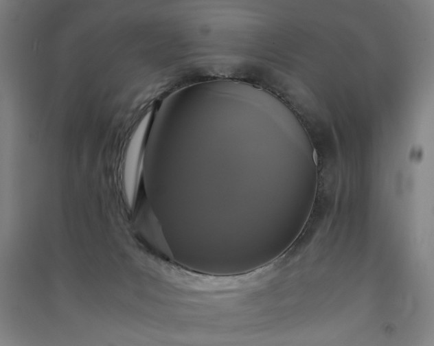 X0000091080031200708201444