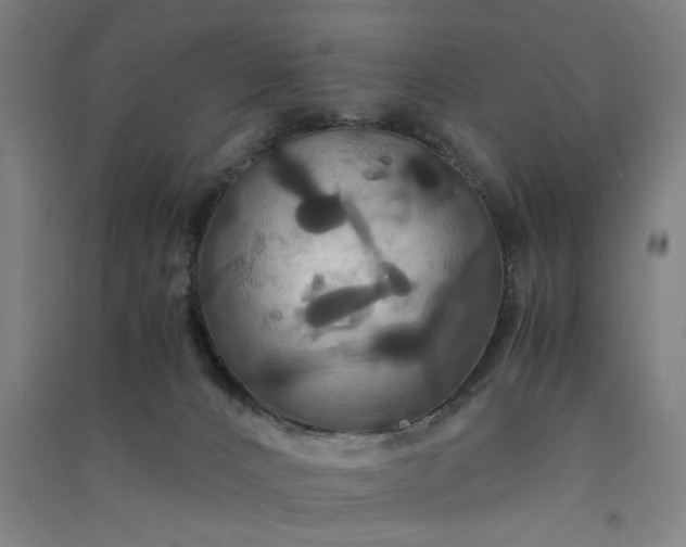 X0000091080032200708201444