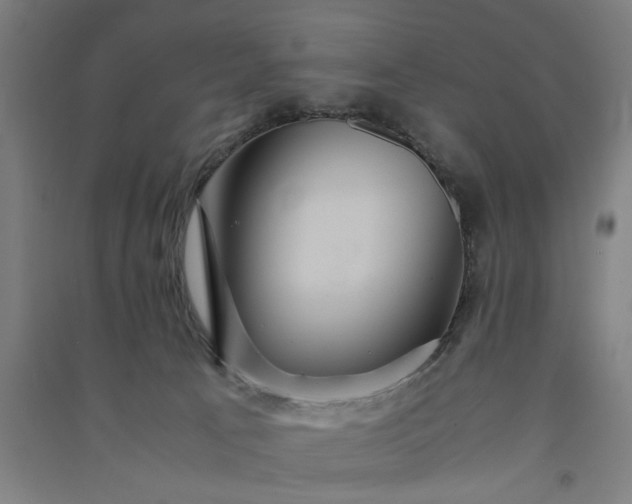 X0000091080033200708201444