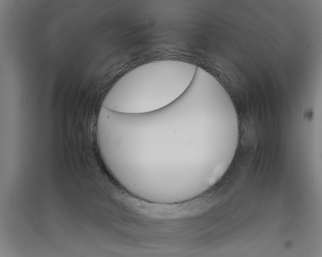 X0000091080034200708201444