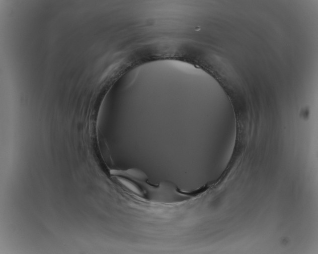 X0000091080035200708201444