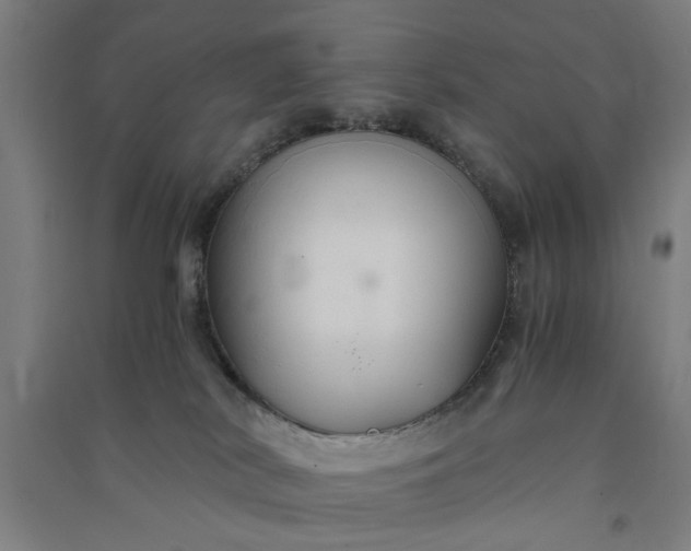 X0000091080038200708201444