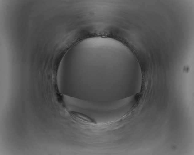 X0000091080039200708201444