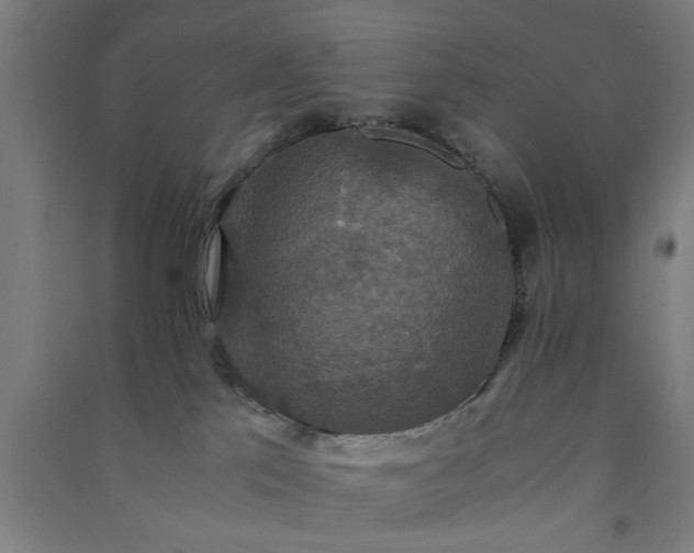 X0000091080041200708201444