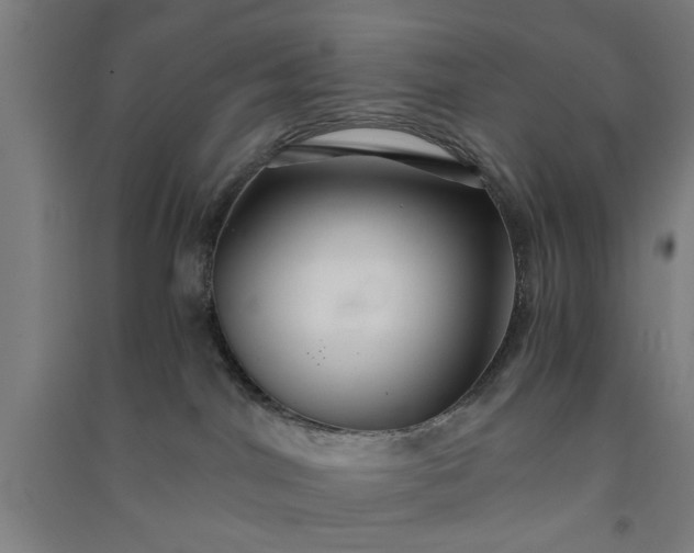 X0000091080044200708201444