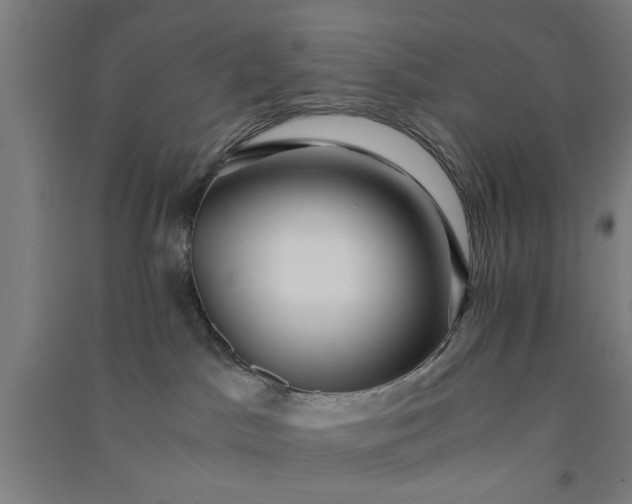 X0000091080045200708201444