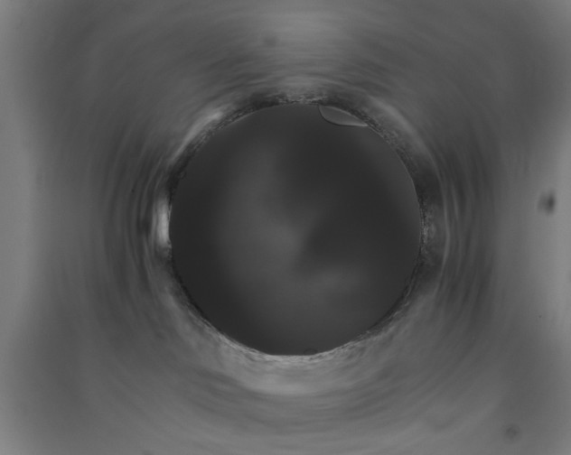 X0000091080046200708201444