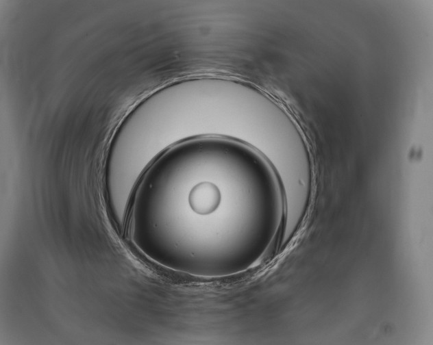 X0000091080049200708201443