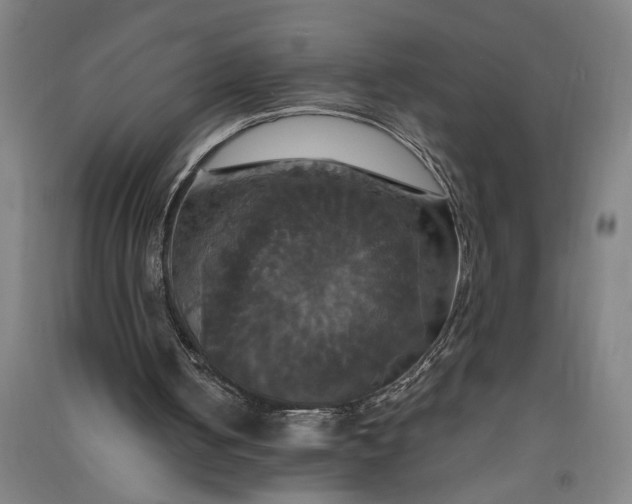 X0000091080050200708201443