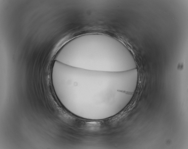 X0000091080053200708201443