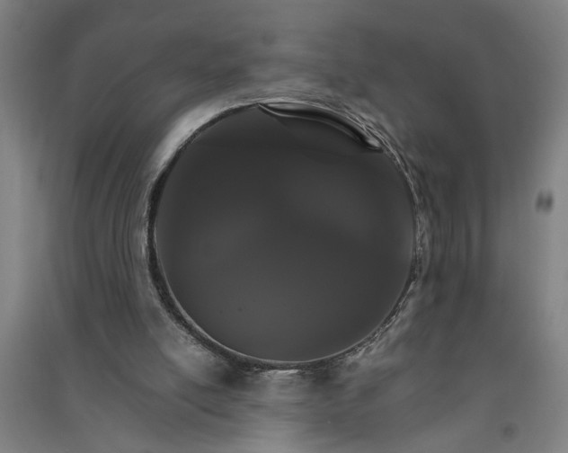 X0000091080054200708201443