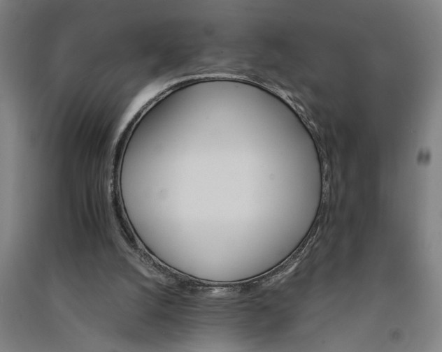 X0000091080056200708201443