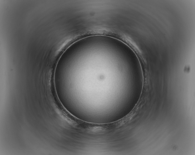 X0000091080058200708201444