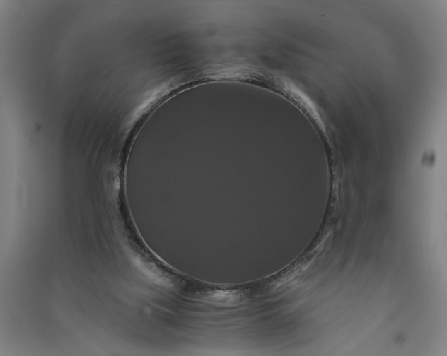 X0000091080059200708201444