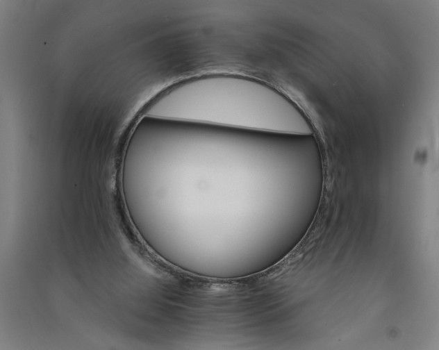 X0000091080060200708201444