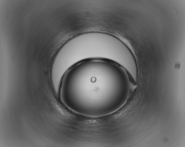 X0000091080061200708201444