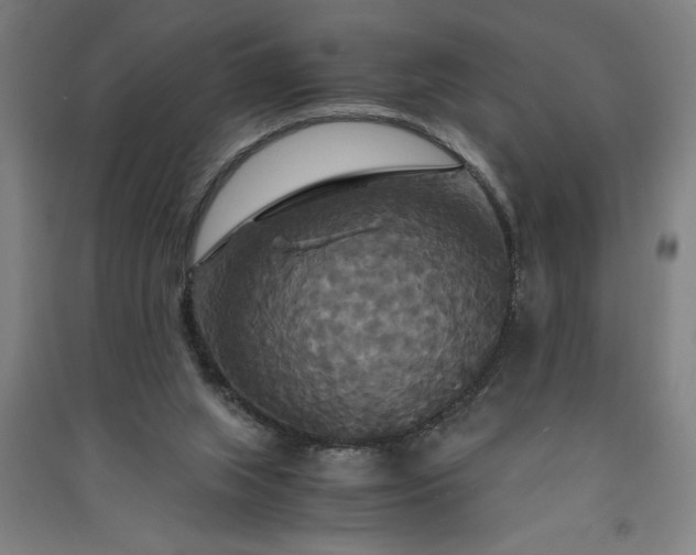 X0000091080063200708201444