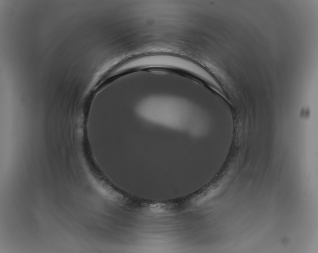 X0000091080064200708201444