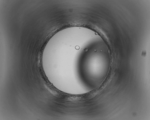 X0000091080065200708201444