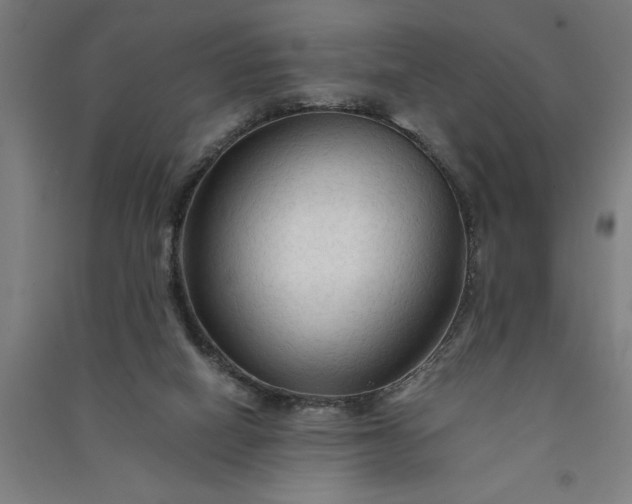 X0000091080066200708201444