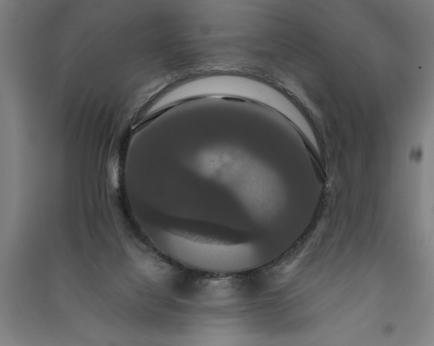 X0000091080068200708201444