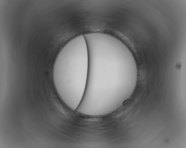 X0000091080069200708201444