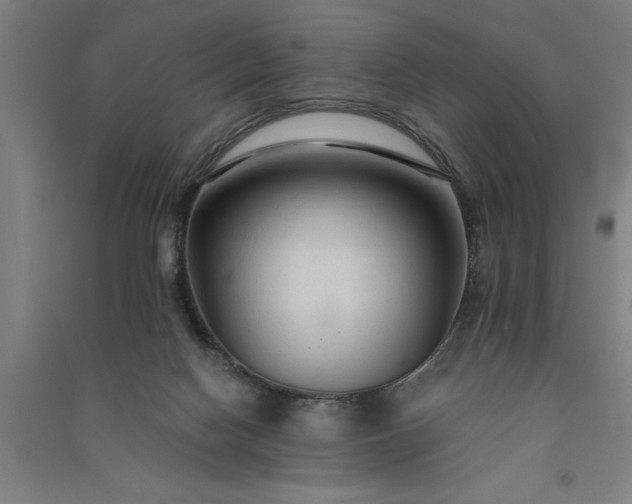 X0000091080074200708201444