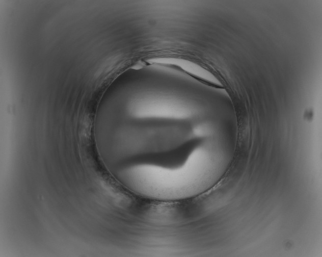 X0000091080078200708201444