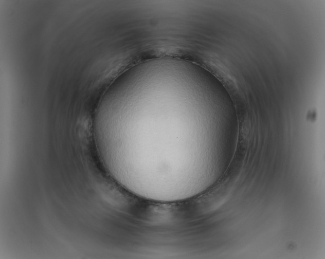 X0000091080079200708201444