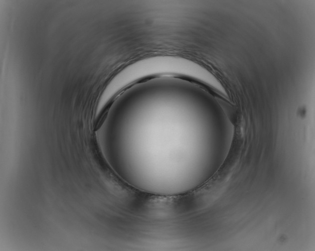 X0000091080084200708201444