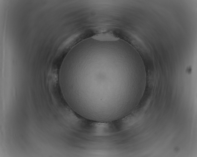 X0000091080085200708201444