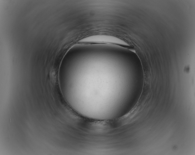 X0000091080086200708201444