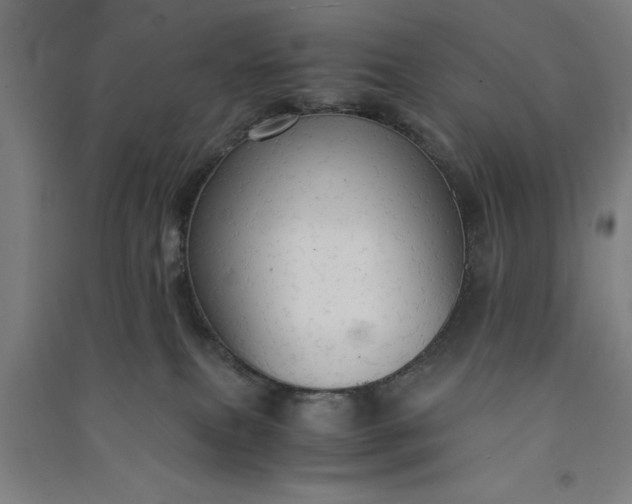 X0000091080087200708201444