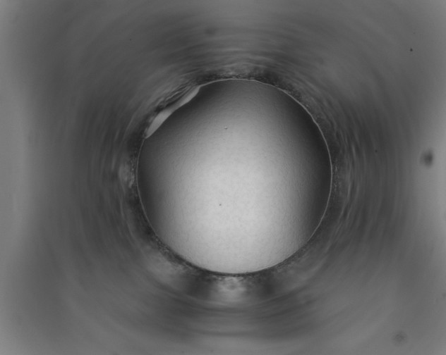 X0000091080091200708201444