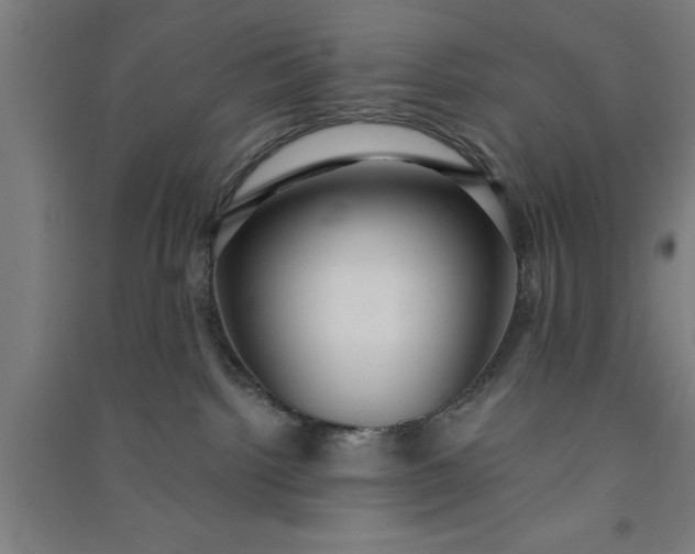 X0000091080092200708201444