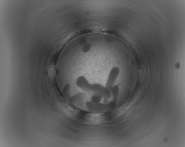 X0000091080093200708201444