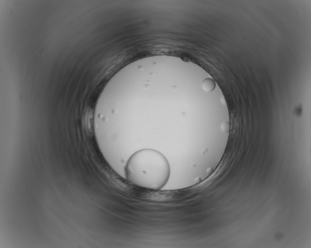 X0000091080094200708201444