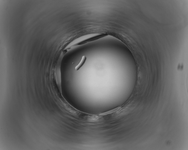 X0000091080096200708201444