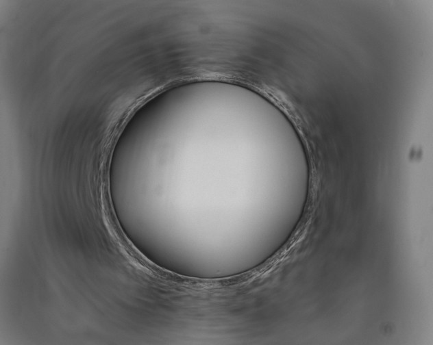 X0000091080097200708201443