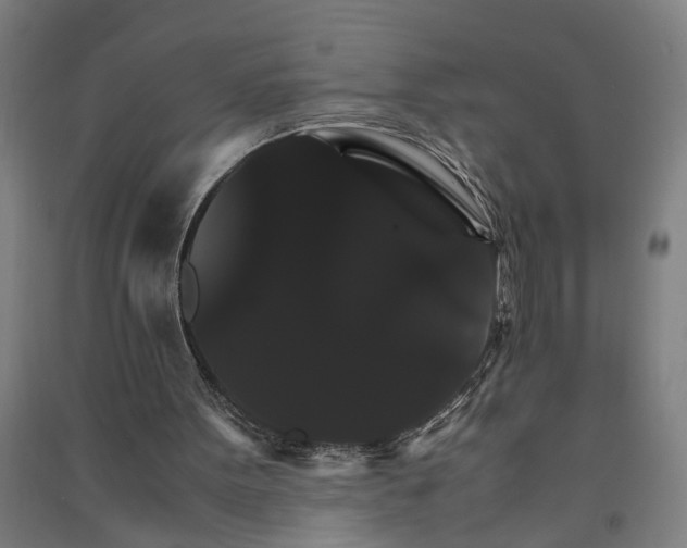 X0000091080099200708201443