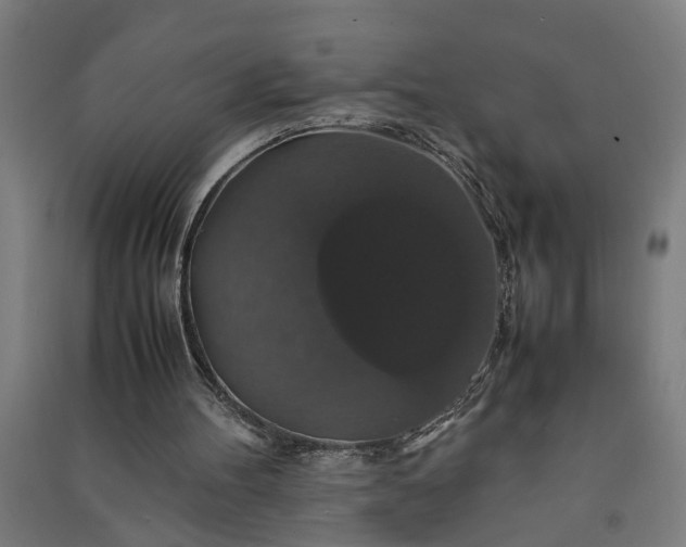 X0000091080100200708201443