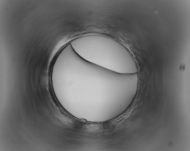 X0000091080102200708201443