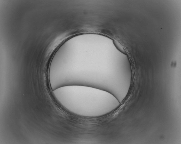 X0000091080103200708201443