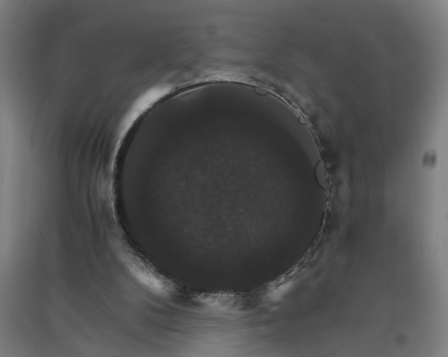 X0000091080104200708201443